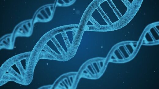 Flirty Biology Pick Up Lines for Your Crush