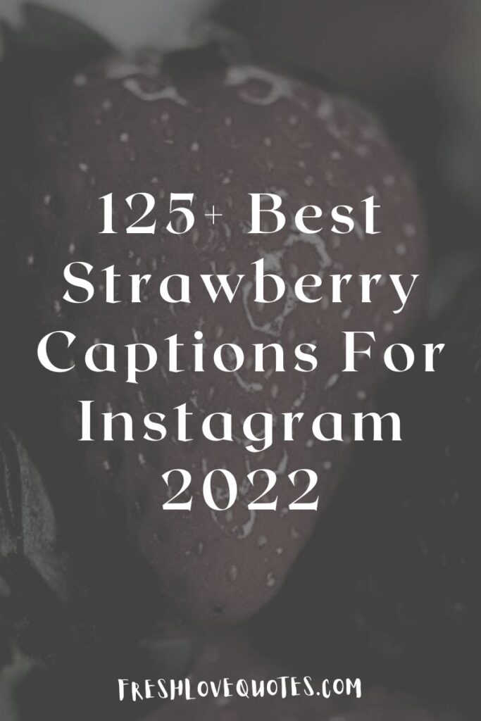 125+ Best Strawberry Captions For Instagram 2022