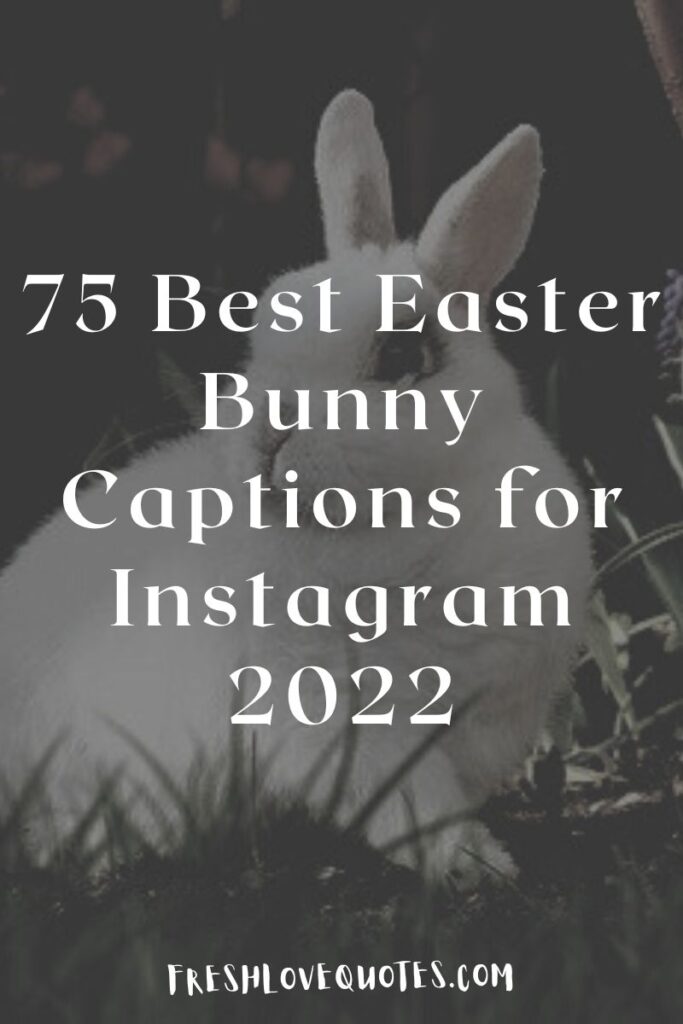 75 Best Easter Bunny Captions for Instagram 2022