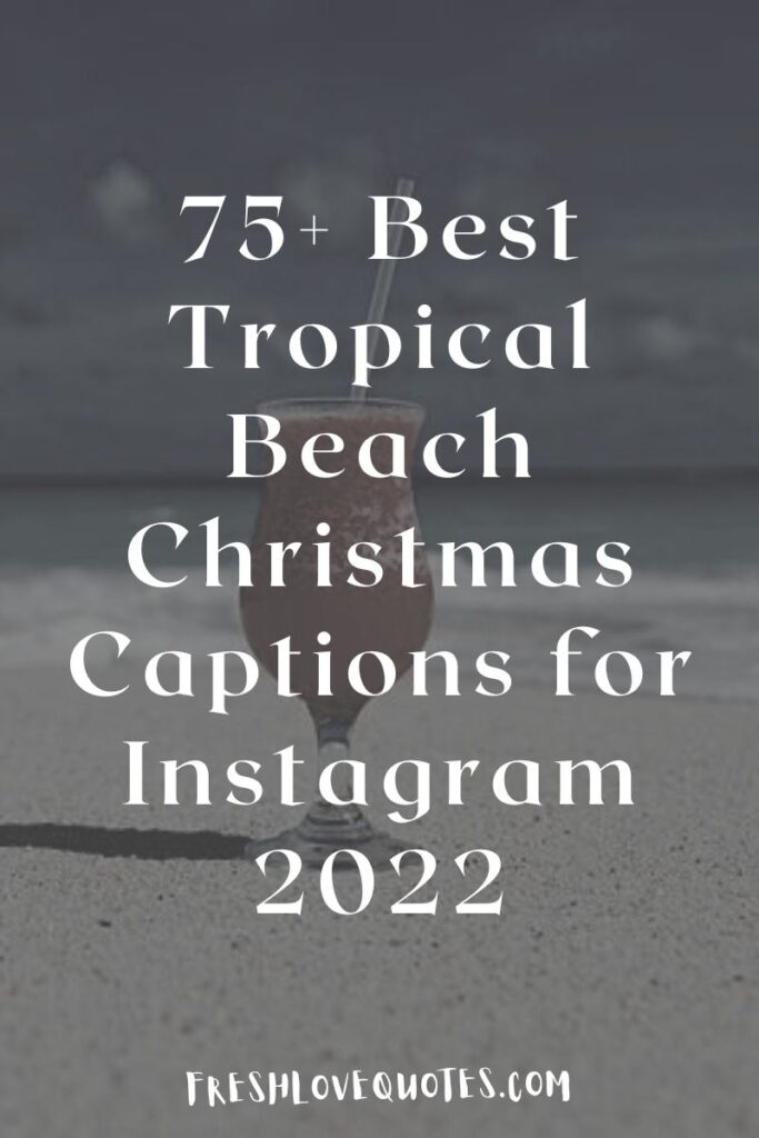 75+ Best Tropical Beach Christmas Captions for Instagram 2022