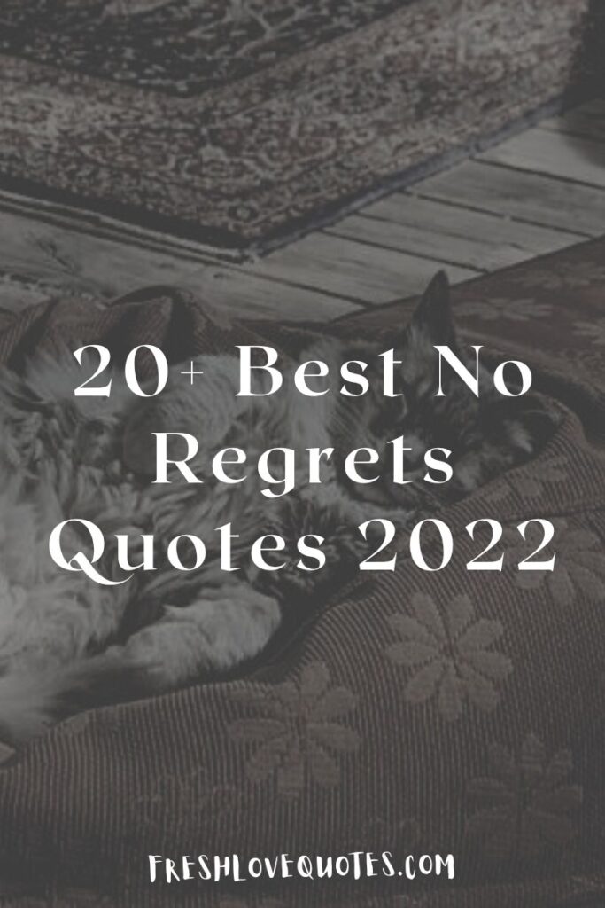 20+ Best No Regrets Quotes 2022