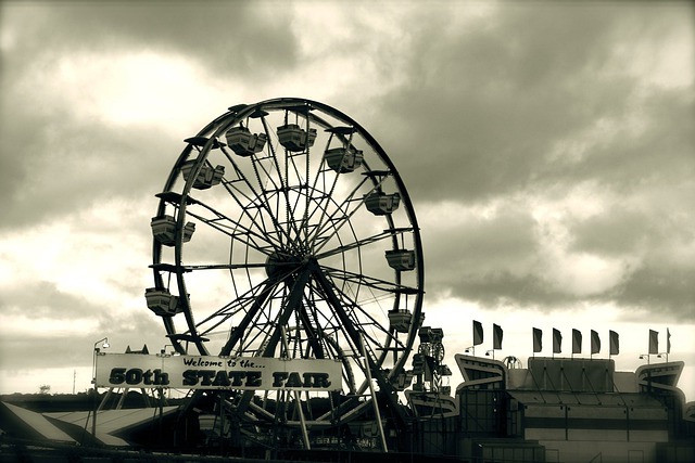 Best State Fair Captions For Instagram