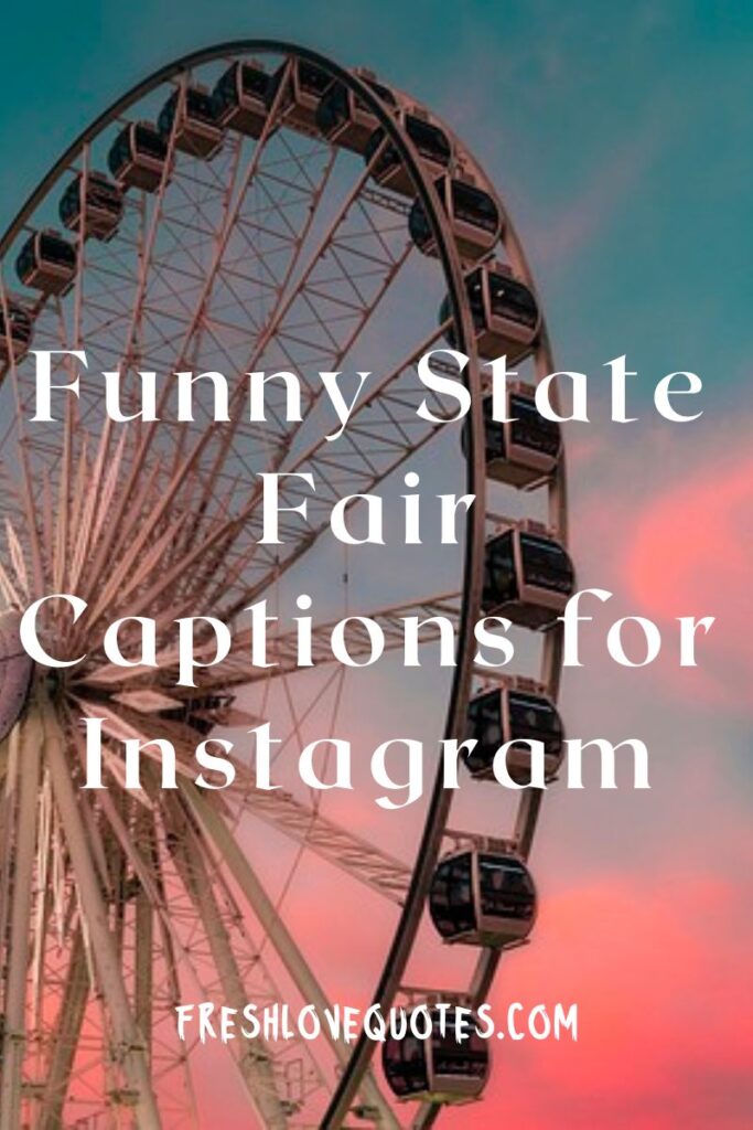 Funny State Fair Captions for Instagram