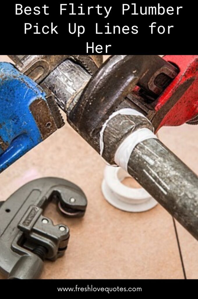 85+ Best Country and Western Cow Boy Pick Up Lines